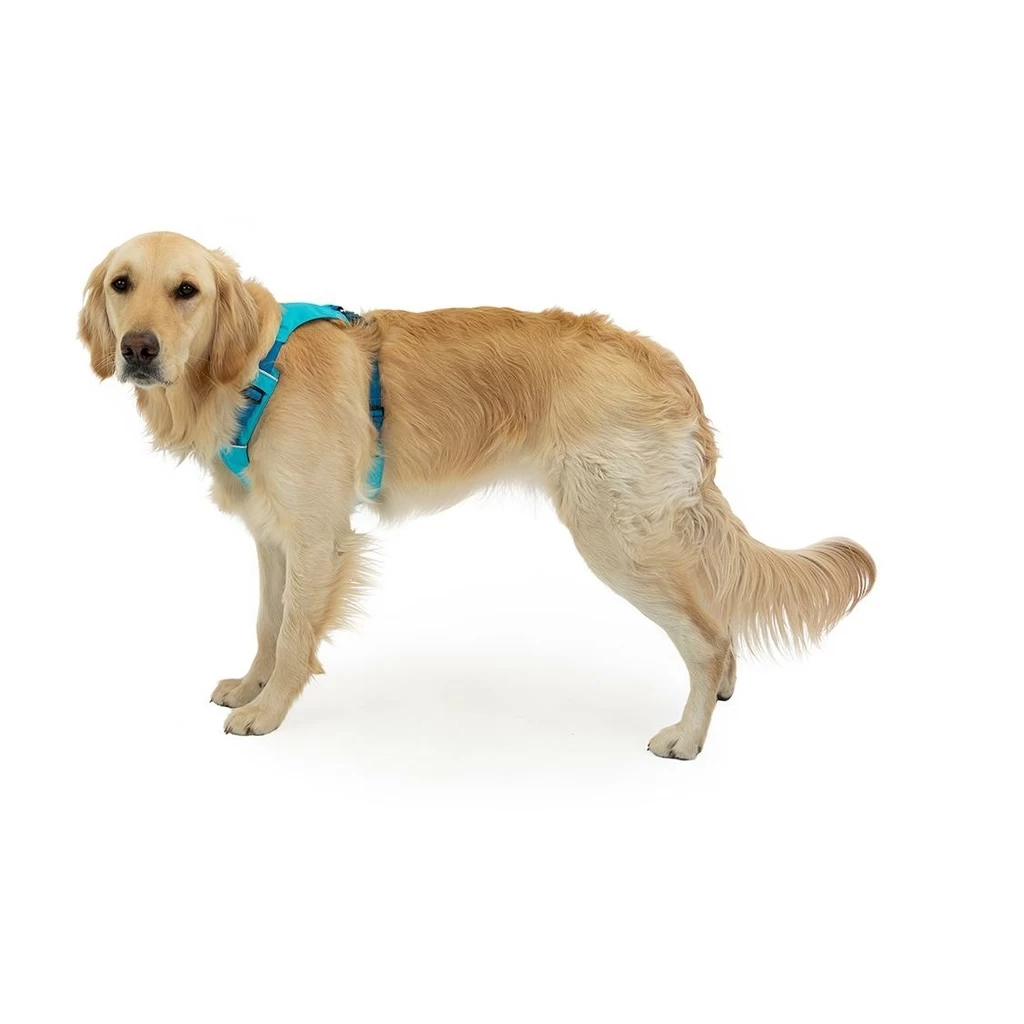 Ruffwear Hi & Light Harness Bleu – Image 5