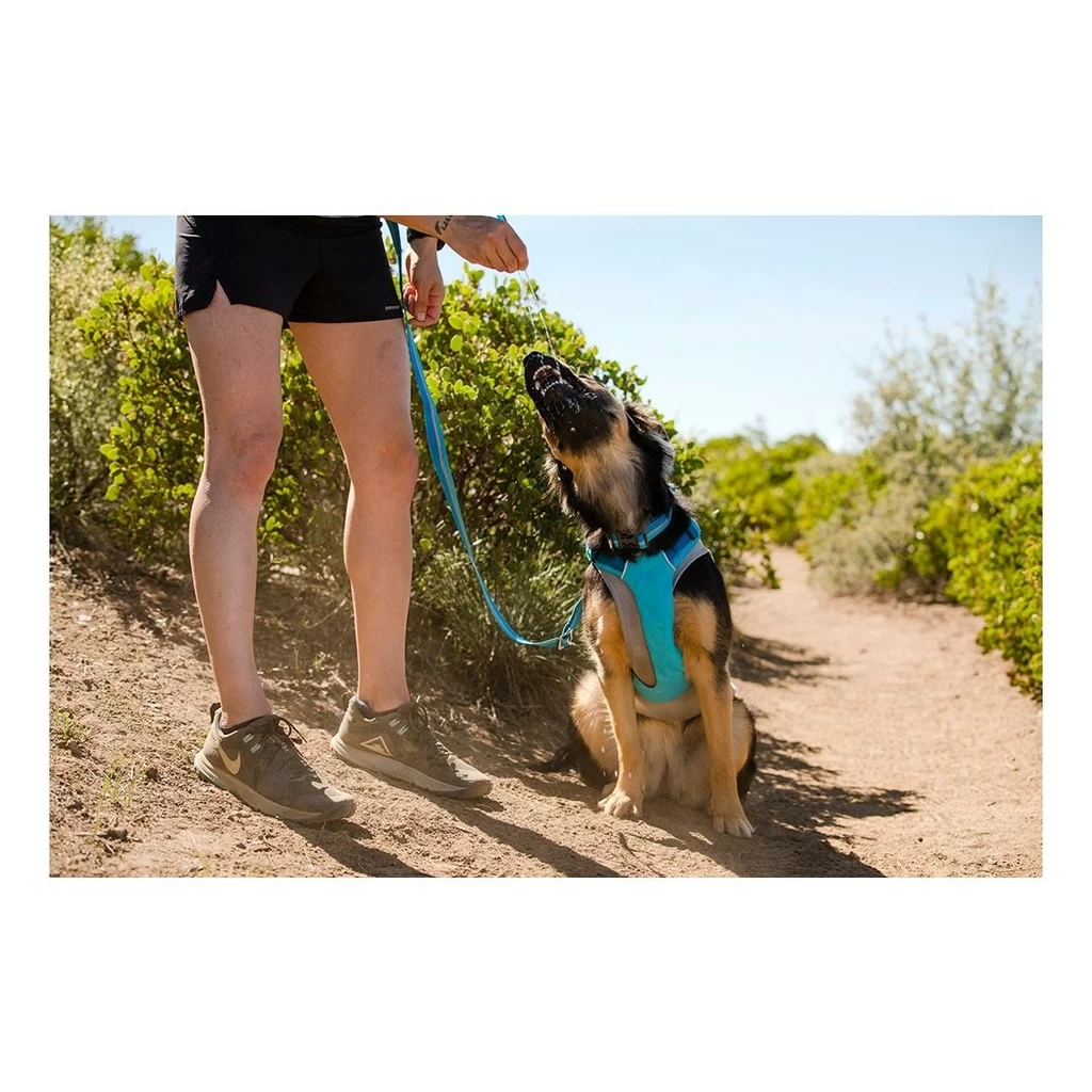 Ruffwear Hi & Light Harness Bleu – Image 8