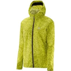 Salomon Fast Wing Graphic Hoody Femme Vert