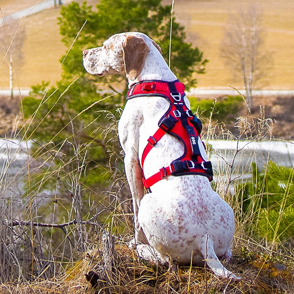 I-Dog Harnais Confort Trek – Image 7