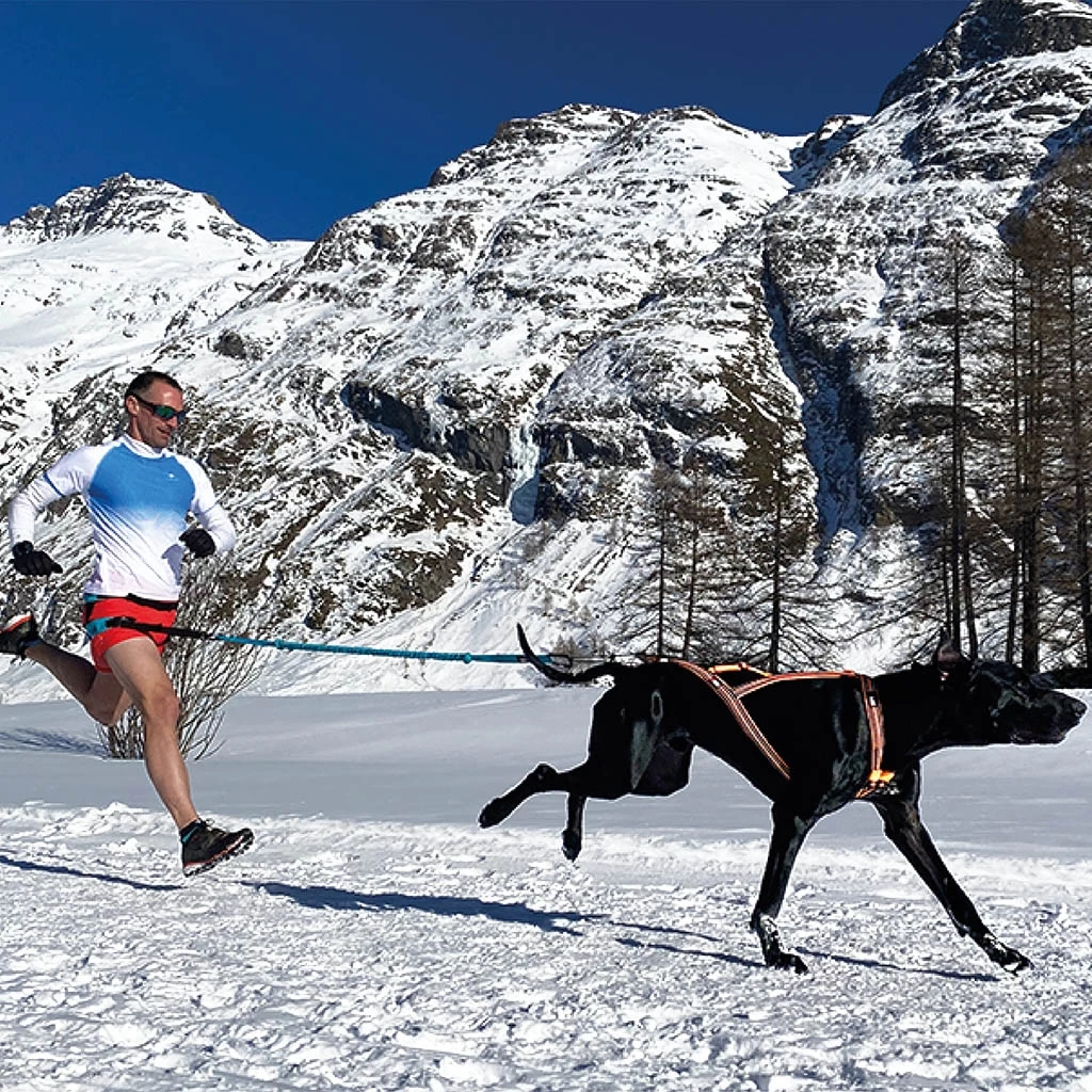 I-Dog Harnais Canicross Sport X-Back One – Image 2