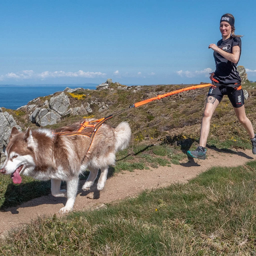 I-Dog Harnais Canicross Sport X-Back One – Image 3