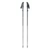 Black Diamond Distance Flz Poles