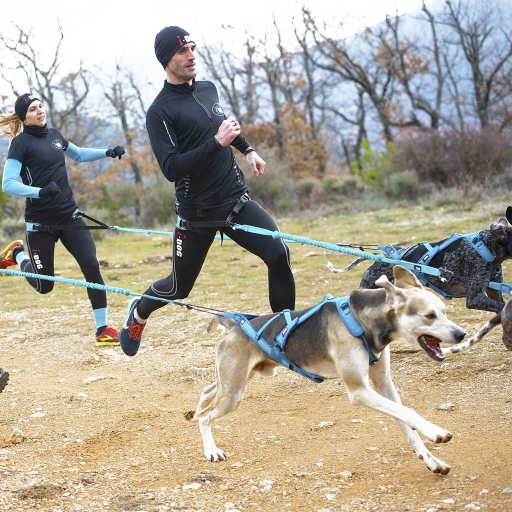 I-Dog Baudrier Canyon Gamme ALM – Image 4