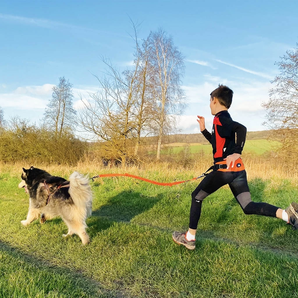 I-Dog Baudrier Canicross One Light Orange – Image 2